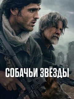  Собачьи звёзды 